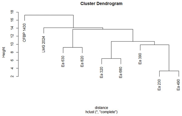 Dendrogram displaying phenotypic diversity among the seven Portuguese Erwinia amylovora strains, type strain LMG 2024 and CFBP 1430 regarding the use of different carbon sources.