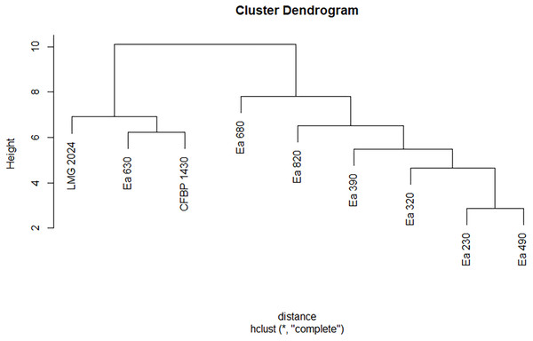 Dendrogram displaying phenotypic diversity among the seven Portuguese Erwinia amylovora strains, type strain LMG 2024 and CFBP 1430 regarding their chemical susceptibility.