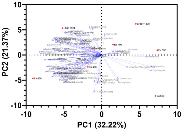 Principal component analysis, regarding Biolog and antibiogram characterization, of the seven Portuguese Erwinia amylovora strains, type strain LMG 2024 and reference strain CFBP 1430.