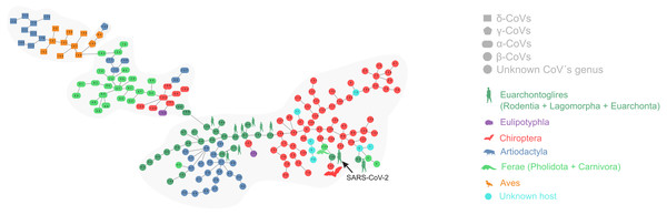 Proximity network spanning over 173 samples from the group Coronavirinae of viruses.