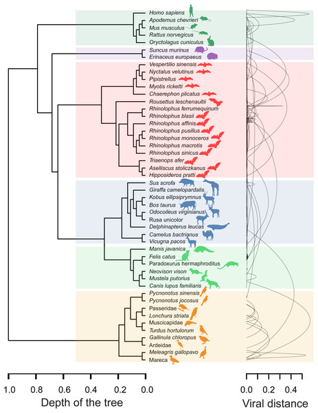 Graphical representation of hosts associated with the endpoints of links in the proximity network of Fig. 1.