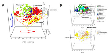 Niche Diversification Of Mediterranean And Southwestern Asian Tortoises ...