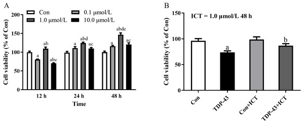 The optimal concentration and duration of ICT and the effect of ICT on cell viability in the TDP-43 model.