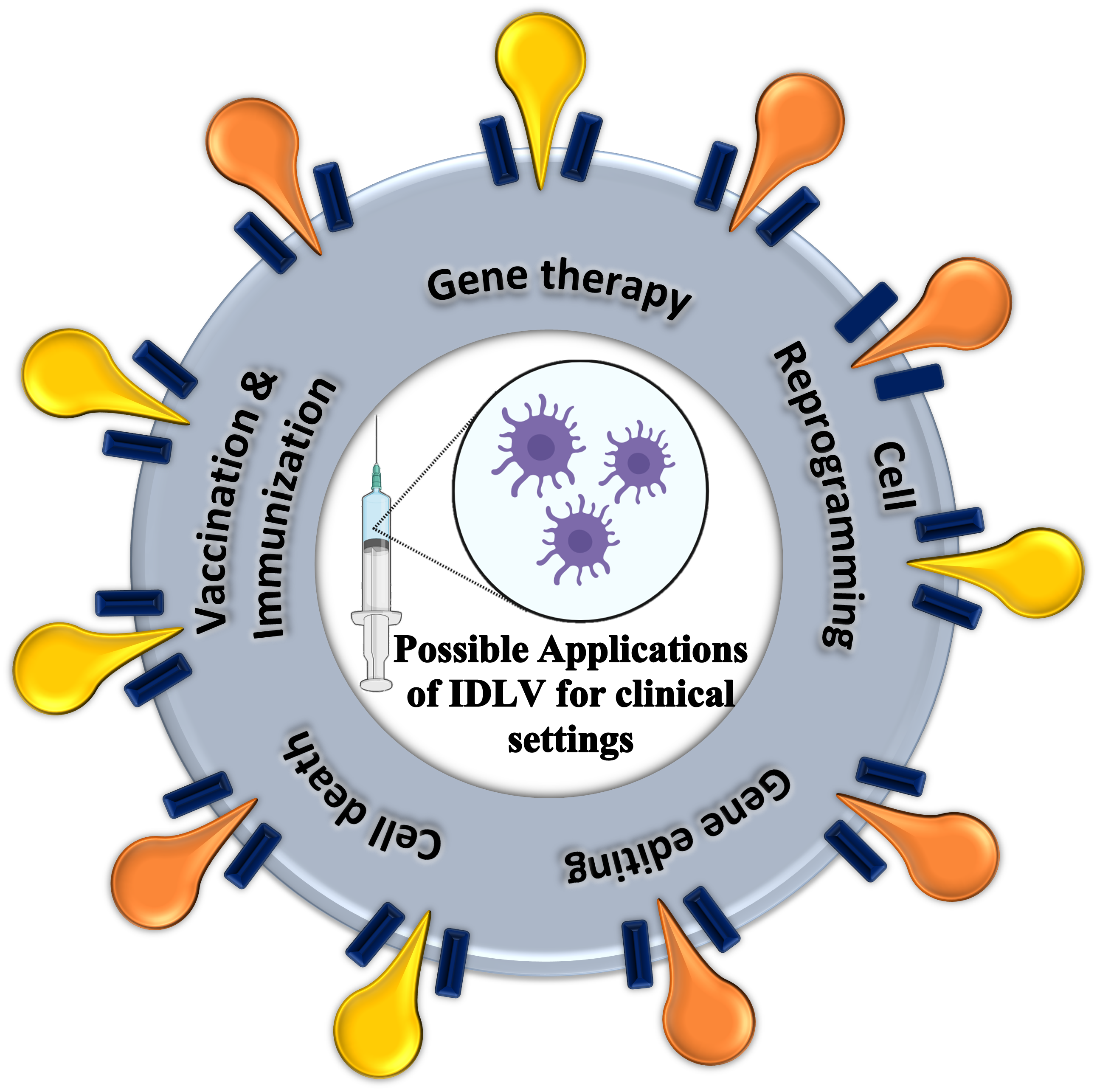 HIV-based lentiviral vectors: Origin and sequence differences