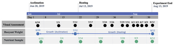 Timeline of study period.