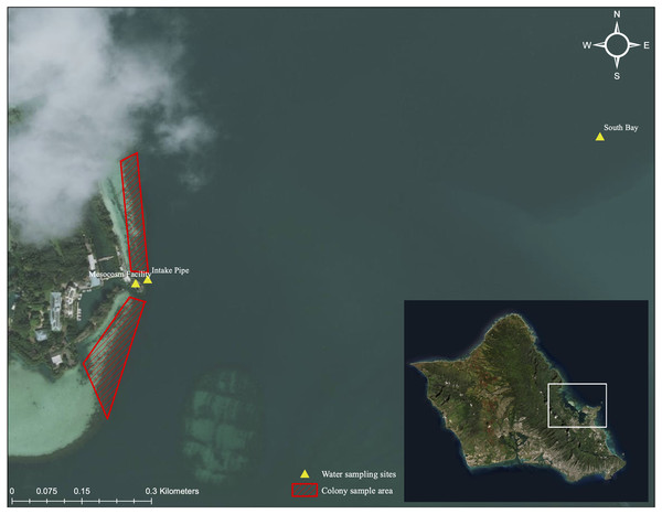 Aerial image of sampling location and collection area.