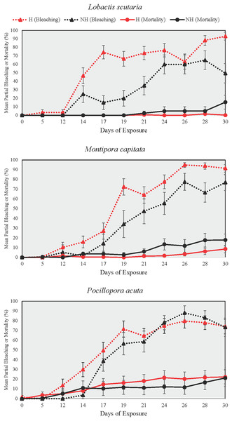 Partial bleaching and mortality during the heating phase.