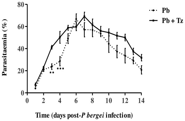 Percentage parasitaemia in male Sprague-Dawley rats infected with Plasmodium berghei (Pb) only and co-infected with Pb and Trichinella zimbabwensis (Pb + Tz) (Murambiwa et al., 2020; CC-BY-NC-ND).