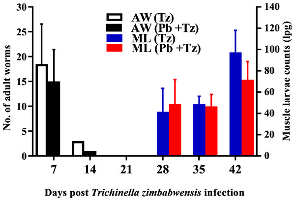 Mean number of intestinal adult worms (AW) and muscle larvae counts (ML)/gram of muscle (lpg) recovered from rats infected with Trichinella zimbabwensis (Tz) and the group co-infected at day 28 post-infection (Murambiwa et al., 2020; CC-BY-NC-ND).