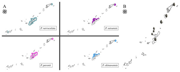 Map of distribution range of Peronia species in the Ryukyu Island.