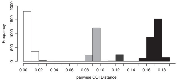 Results of p-COI distances on ABGD analysis based on COI sequence data obtained in this study.