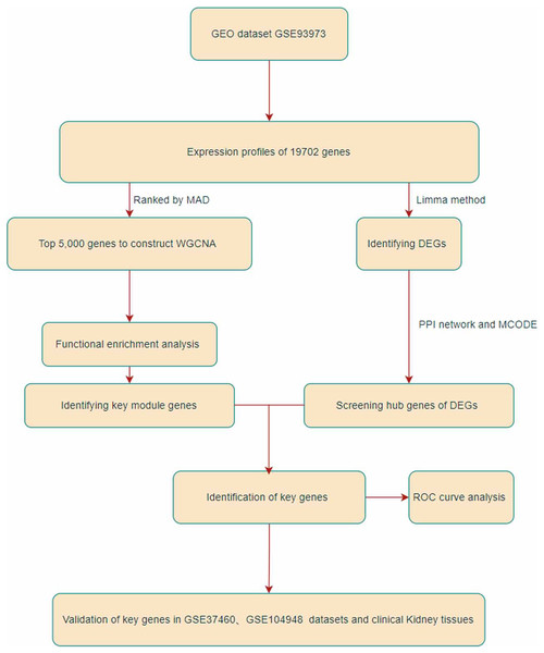 Flowchart of this research.