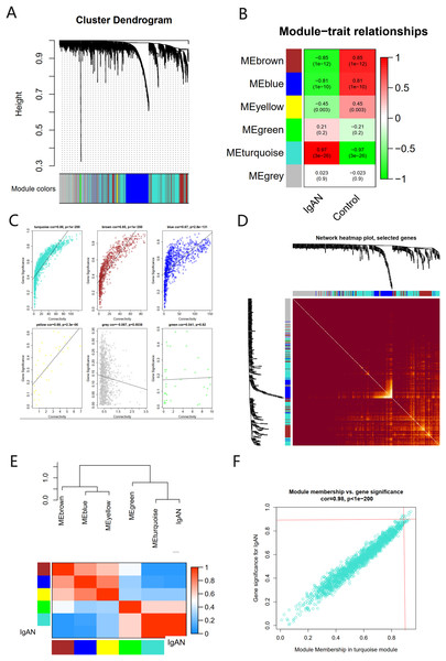 The co-expression network constructed based on the GSE93798 dataset.