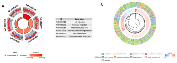 GO analysis of the key module genes.