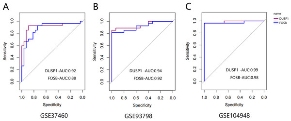 The ROC curve of FOSB and DUSP1 in datasets.