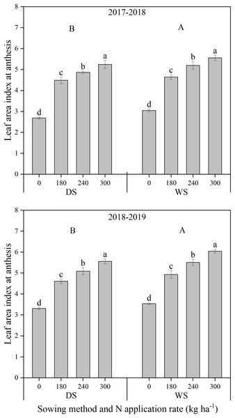 Leaf area index at anthesis of winter wheat under different sowing method and N application rate in 2017–2018 and 2018–2019.