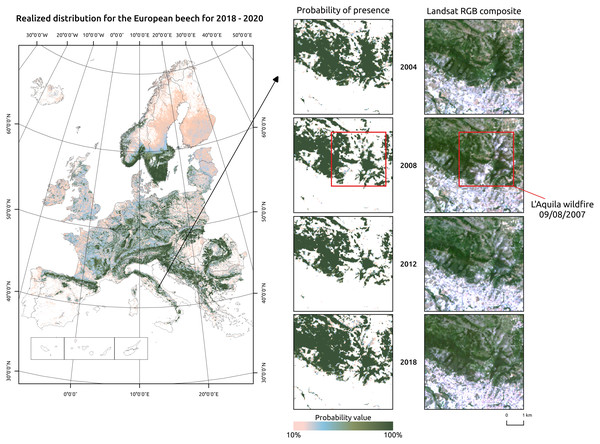 Realized distribution of Fagus sylvatica for the period 2018–2020.