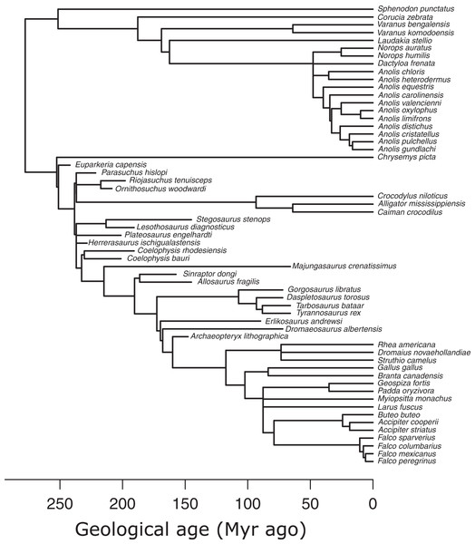 Phylogeny of extant and extinct saurians (N = 59) used in the phylogenetic predictive modelling.