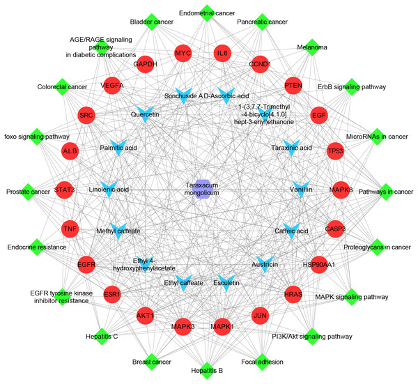 The herb-ingredient-target-pathway network.