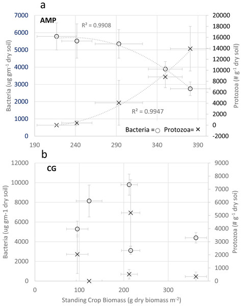 Comparison of Predator/Prey relationships for bacteria and protozoa.