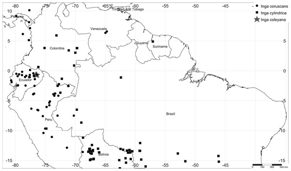 Map of collections of Inga coleyana M.J. Endara & J.E. Guevara sp. nov. and the most closely related species, Inga cylindrica (Vell.) Mart. and Inga coruscans Humb. & Bonpl. ex Willd. in the Amazon basin.