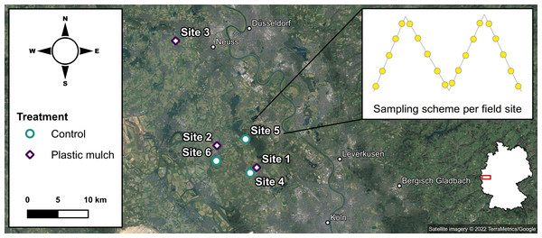Sampling scheme in the study area (satellite imagery ©2022 TerraMetrics/Google); on the map of Germany, the study area is highlighted in red.