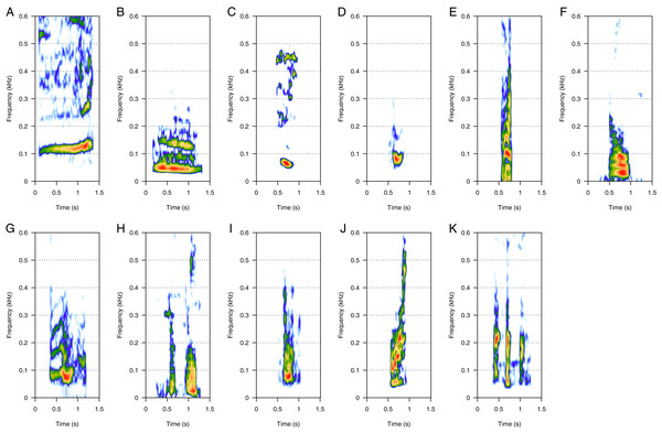 Spectrograms of low-frequency sounds (LF).