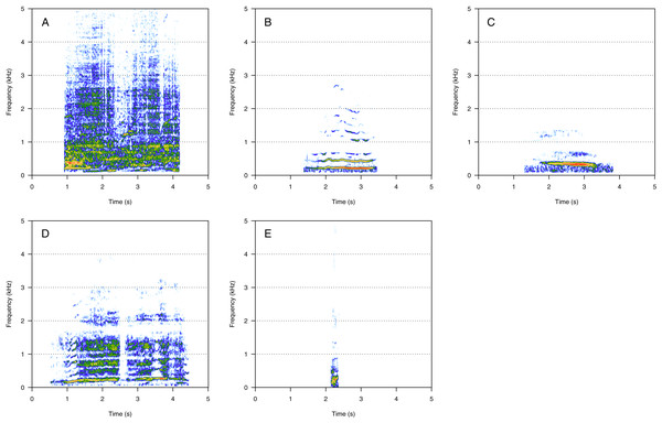 Spectrograms of amplitude-modulated sounds (AM).