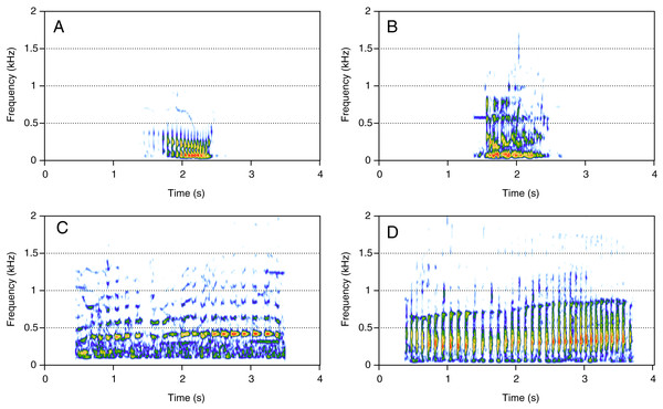 Spectrograms of pulsed sounds (PS).