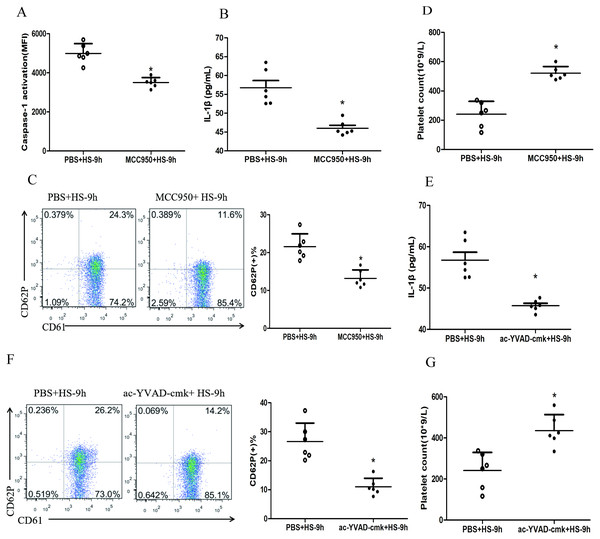 NLRP3 inflammasome mediates platelet activation and thrombocytopenia in HS rats (n = 6).