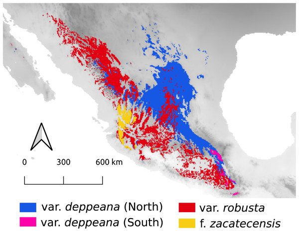 Predicted distribution of J. deppeana’s varieties during the last interglacial (~130,000 yr ago).