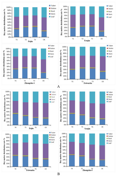 Distribution rate of dry matter of different tissues and organs at the potato tuber expansion stage.