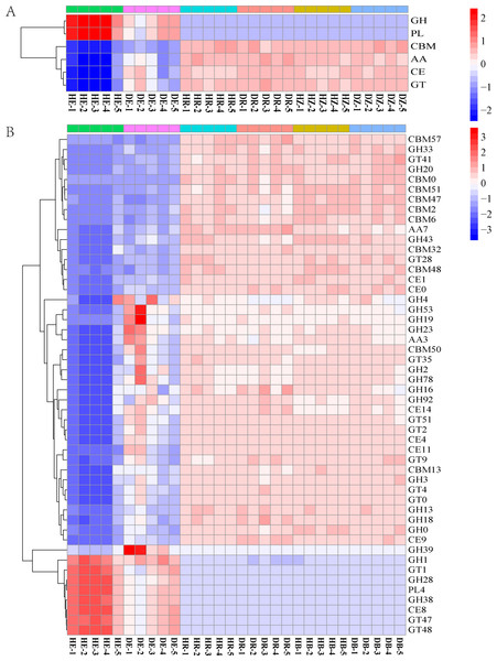 The heatmaps show the distribution of gene classes in the CAZy database (A) and the 50 most abundant CAZy gene families (B).