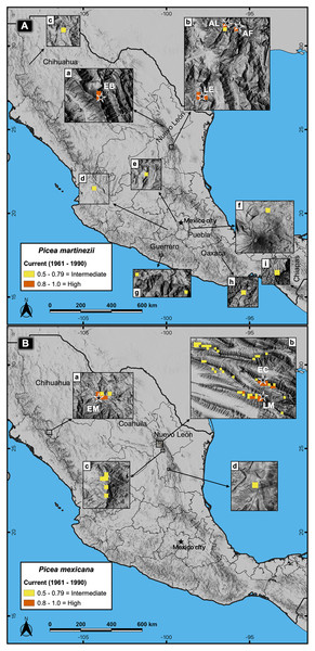 Actual and potential distribution of the suitable habitat in current conditions (1961–1990 reference period) for P. martinezii (A) and P. mexicana (B).