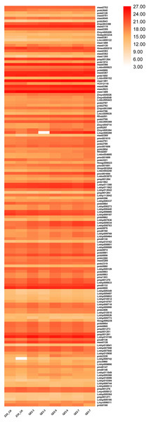 Expression patterns of quantified lipids in diploid and triploid watermelon roots after 0, 3, 5, and 7 days of waterlogging treatment.