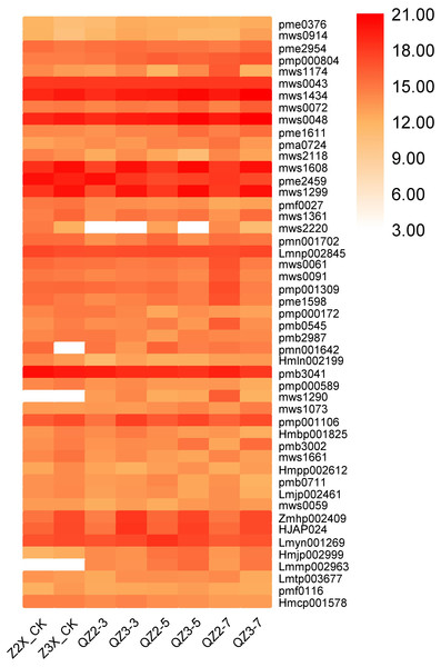 Expression patterns of quantified flavonoids in diploid and triploid watermelon roots after 0, 3, 5, and 7 days of waterlogging treatment.