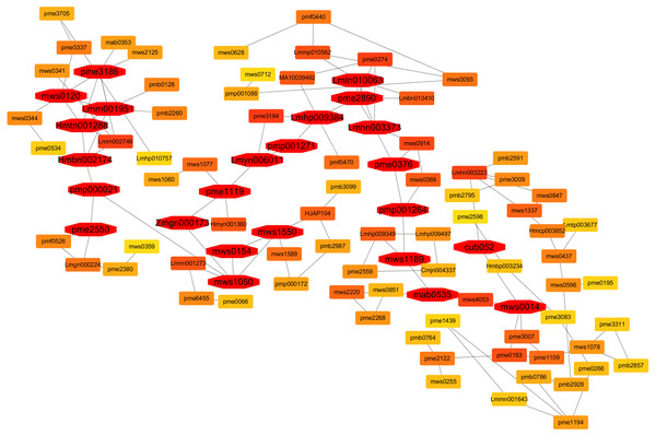 A co-expression network analysis of all the identified metabolites at 0-, 3-, 5- and 7-days post flooding in diploid and triploid watermelon roots.