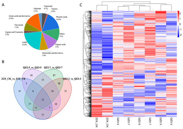 (A) Classification of metabolites in diploid and triploid watermelon under flooding stress. (B) Venn diagram presenting the common metabolites in diploid and triploid watermelon at 0, 3, 5, and 7 days after flooding stress. (C) Heatmap representing the contents of all the detected metabolites in diploid and triploid watermelon. (D) PCA plot showing the variability of data at different sampling stages in diploid and triploid watermelon.