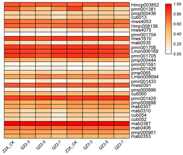 Expression patterns of quantified terpenoids in diploid and triploid watermelon roots after 0, 3, 5, and 7 days of waterlogging treatment.