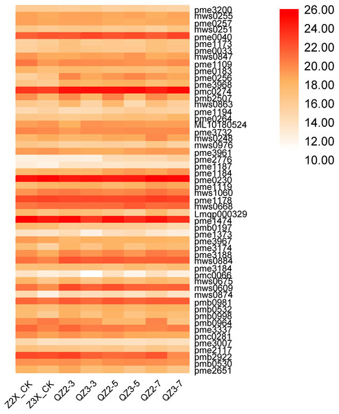 Expression patterns of quantified nucleotides and derivatives in diploid and triploid watermelon roots after 0, 3, 5, and 7 days of waterlogging treatment.