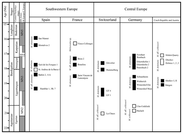 Biochoronologic distribution of Melissiodon remains across Europe during the Early Miocene.