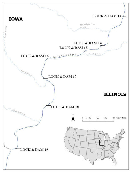 Locations of locks and dams 14–19 on the upper mississippi river.
