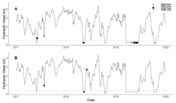 Successful upstream and downstream bigheaded carp and paddlefish passages through the dam gates and lock chamber at Lock and Dam (LD) 15 from 2017–2019.