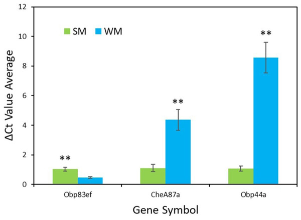 qPCR validation of genes identified in transcriptome analysis.