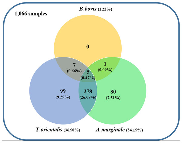 Venn diagram summarizing the species specificity and infection rate of cattle hemoparasite infections in northern and central Thailand.