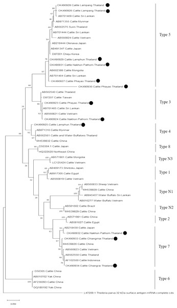 Phylogenetic relationships based on mpsp sequence of T. orientalis, in accordance with the PCR amplified sequence.