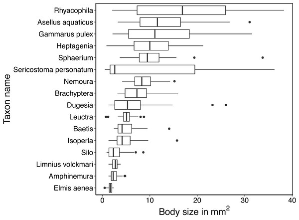 Boxplots of the variation in mean size (in mm2) of specimens.