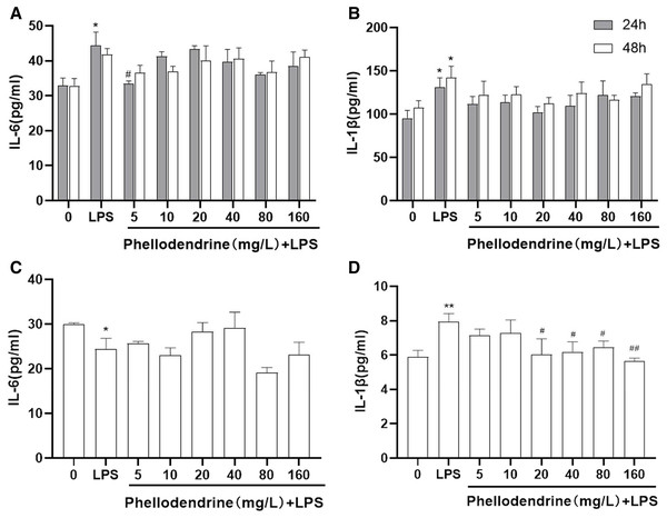 Effects of phellodendrine on IL-6 and IL-1β levels in RAW264.7.