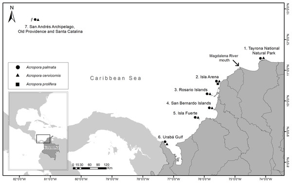 Sampling locations of Acropora palmata and A. cervicornis colonies along the Colombian Caribbean.