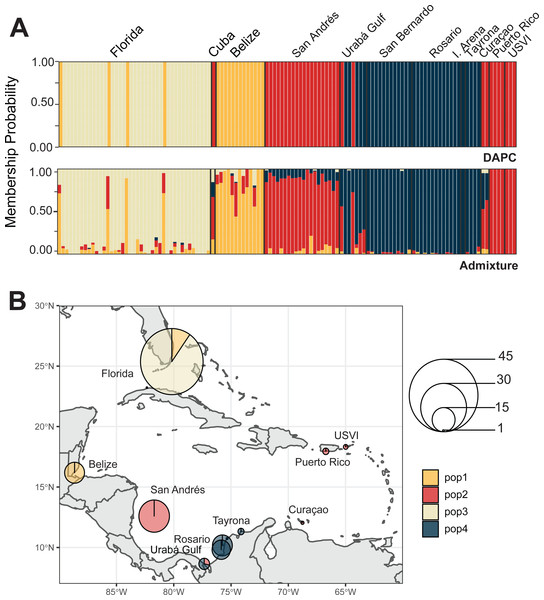 Population assignments for Acropora cervicornis across the wider Caribbean region.